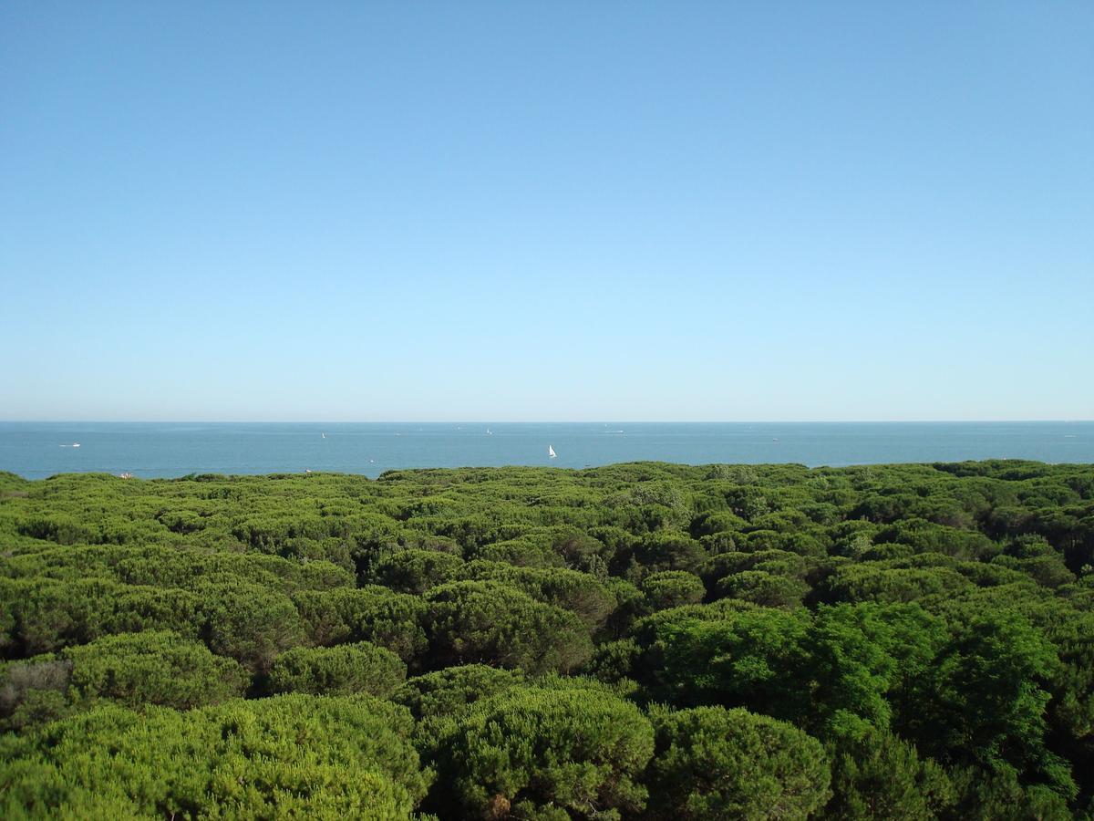 Hotel San Giorgio Milano Marittima Esterno foto